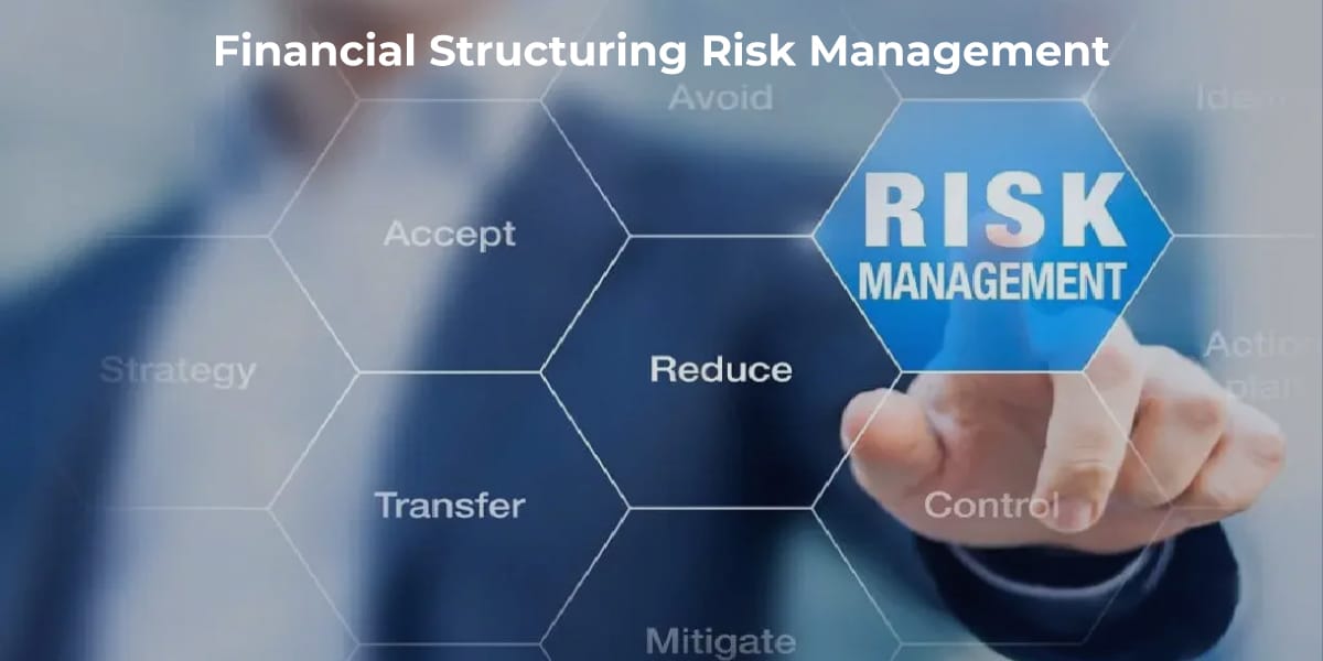 Financial Structuring and Risk Management