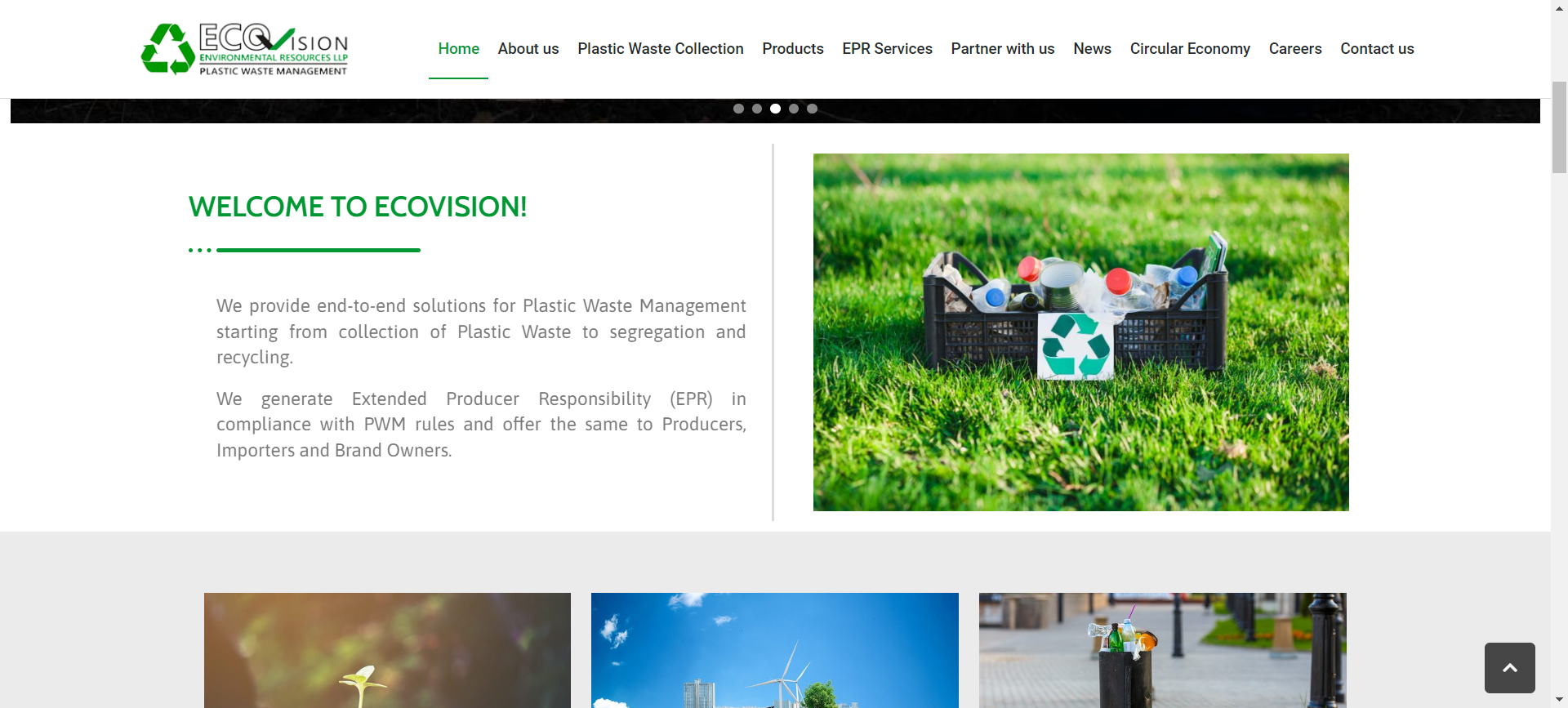 Eco Vision Website Screenshot