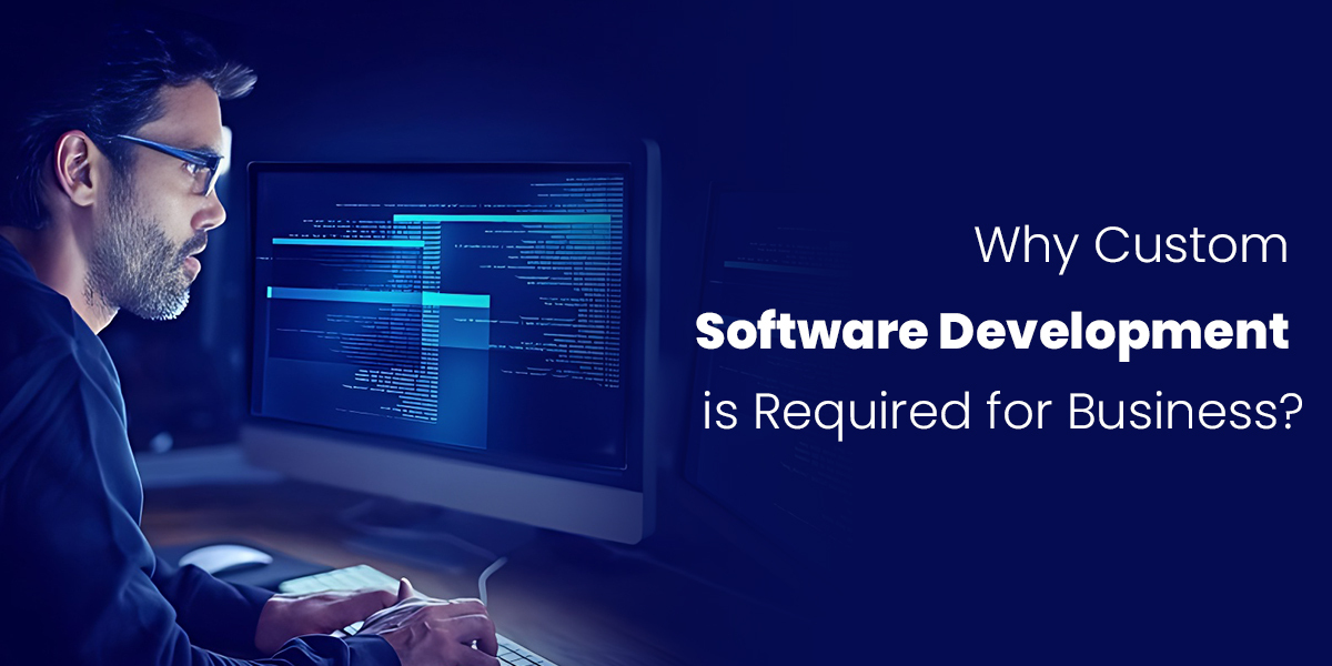 Why custom software is required for business?